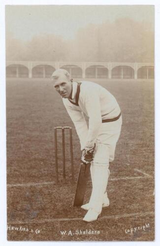 Walter A. Shalders. Griqualand West, Cape Colony, Transvaal, London County & South Africa 1897-1907. &lsquo;South African tour of England 1907&rsquo;. Excellent real photograph sepia postcard of Shalders, full length, at the wicket in batting pose at Lord&rsquo;s. E. Hawki