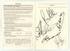 Horse racing. Royal Ascot 1987. Official programme/ race card booklet for the &lsquo;First Day&rsquo;, 16th June 1987. Signed to pages in bold black ink by eleven jockeys including Ray Cochrane, Pat Eddery, Gary Bardwell, John Reid, Cash Amussen, Walter Swinburn, Pau - 2