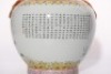 A Famille Rose Peaches Zun Vase Yongqingchangchun Mark - 14