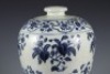 A Blue and White Flora and Fruits Vase Meiping - 3