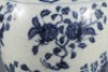 A Blue and White Flora and Fruits Vase Meiping - 5