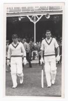 Scarborough Cricket Festival 1965. South Africa. Mono real photograph plain back postcard of Denis Lindsay and Dennis Gamsy walking out to bat for the South Africans in the match v T.N. Pearce's XI, 4th- 6th September 1965. Stamp for Walkers Studio, Scarb