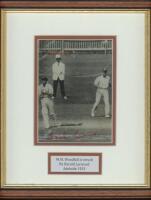 M.C.C. tour of Australia 1932/33 'Bodyline'. Original mono press photograph of Australian captain turning away clutching his chest having dropped his bat after taking a blow over the heart off the bowling of Larwood during the third Test at Adelaide. The 