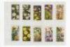 Cigarette cards. Various series 1914-1939. Ogdens Ruler Cigarettes 'Birds of Brilliant Plumage' 1914 overseas issue, fourteen cards with no frame line to fronts. W.D. & H.O. Wills 'Dancing Girls' 1915, three cards nos. 19, 24 & 26. 'Wild Flowers' second - 3