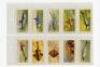 Cigarette cards. Various series 1914-1939. Ogdens Ruler Cigarettes 'Birds of Brilliant Plumage' 1914 overseas issue, fourteen cards with no frame line to fronts. W.D. & H.O. Wills 'Dancing Girls' 1915, three cards nos. 19, 24 & 26. 'Wild Flowers' second - 9