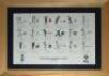 'County Captains 2007'. Keith Fearon. Large print of the eighteen County captains of the 2007 season, signed by each player. Signatures are Katich, Benkenstein, Irani, Hemp, Lewis, Warne, Key, Chilton, Snape, Smith, Sales, Fleming, Langer, Butcher, Adams,