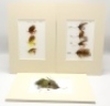 Eleven proof book plates of salmon and trout flies, nine of the card mounts with actual tied gut eyed/gut cast salmon, trout, pike, sewin and chub fly patterns and verso mounted printed colour plates of the tied flies, one large pike fly displayed in rec