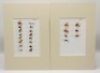 Eleven proof book plates of salmon and trout flies, nine of the card mounts with actual tied gut eyed/gut cast salmon, trout, pike, sewin and chub fly patterns and verso mounted printed colour plates of the tied flies, one large pike fly displayed in rec - 4