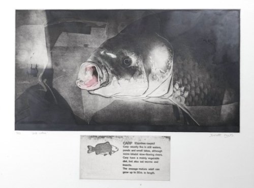Jebbit R.: Still Waters, limited edition head study of a carp, 13/25, with text detail panel below image, pencil signed to margin, dated 1985, framed and glazed, 24" x 31 1/2" overall