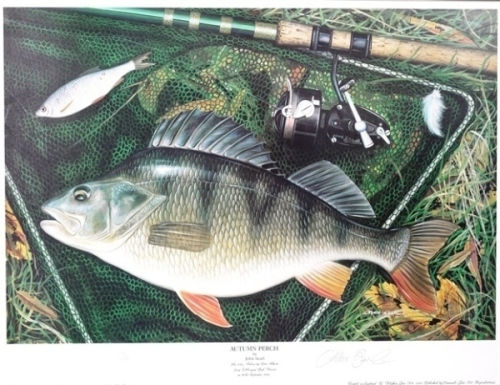 John Searl: Autumn Perch, limited edition colour print 72/100, pencil signed to margin, framed and glazed and the matching print “Winter Chub" ltd. ed. no. 72/100, framed and glazed 24 1/2" x 30" overall (2)