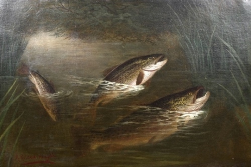 A. Roland Knight: Three Brown Trout rising to Mayfly in reeded riverbank setting, oil on canvas, signed, gilt frame, canvas 15 1/2" x 23 1/2" (see illustration)