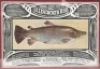 An Illingworth paper sales advertisement for the Illingworth Casting reel, central trout vignette, framed and glazed, 12" x 17" overall and a black and white engraving of “The Enthusiast", framed and glazed, 14" x 15 ¾" overall (2)