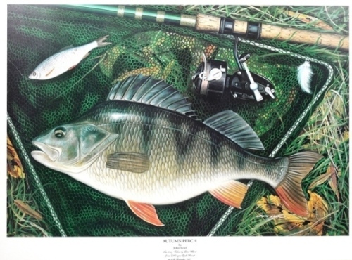 Searl J.: Autumn Perch, coloured print, framed and glazed 24" x 30" overall, Searl J.: Winter Magic, limited edition coloured print 14/100, depicting a mixed bag of winter species, pencil signed to margin, framed and glazed 17 ¾" x 21" overall and an un