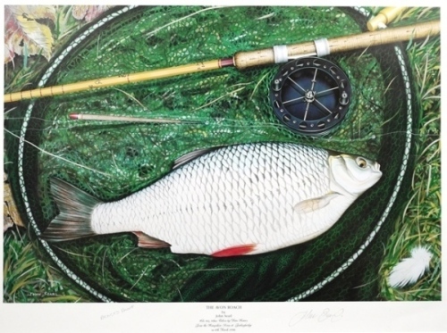 Searl J.: The Avon Roach, coloured print, artists proof, pencil signed, framed and glazed, image 16 ¾" x 22 1/2", Searl J.: Ambush, ltd. ed. colour print, 3/50, pencil signed to margin, framed and glazed, image 12" x 14 ¾" and Jardine C.: The Lady Amid th