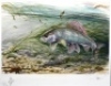 Searl J.: The Avon Roach, coloured print, artists proof, pencil signed, framed and glazed, image 16 ¾" x 22 1/2", Searl J.: Ambush, ltd. ed. colour print, 3/50, pencil signed to margin, framed and glazed, image 12" x 14 ¾" and Jardine C.: The Lady Amid th - 3