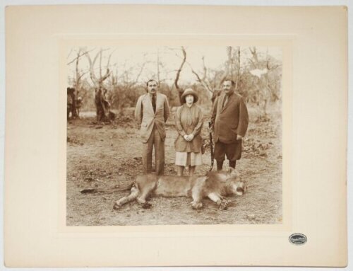 Kumar Shri Ranjitsinhji. Cambridge University, Sussex & England 1893-1920. Original large sepia photograph of Ranji standing leaning on a shotgun with a couple over an Asiatic Lion shot in the Gir Forest in India, c.1920s. The photograph, by Solankee Stud