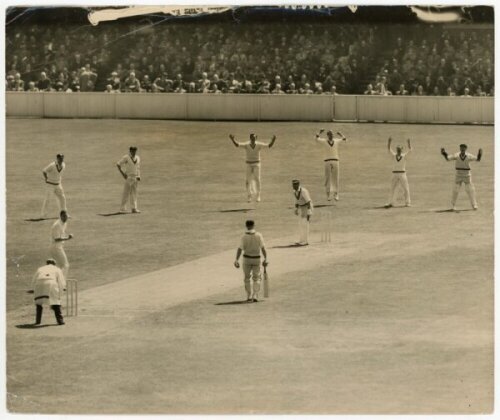 Australia tour to England 1953. Large original sepia press photograph of the tour match v Surrey at The Oval, 9th- 11th May 1953. The photograph depicts depict Australian bowler, Ron Archer, appealing (successfully) for a catch by wicketkeeper, Tallon to 