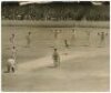 Australia tour to England 1953. Large original sepia press photograph of the tour match v Surrey at The Oval, 9th- 11th May 1953. The photograph depicts depict Australian bowler, Ron Archer, appealing (successfully) for a catch by wicketkeeper, Tallon to 