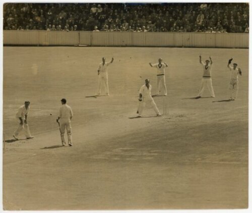 The Ashes. England v Australia 1953. Large original sepia press photograph from the fifth Test at The Oval, 15th- 19th August 1953, depicting the Australian fielders appealing (successfully) to dismiss Bill Edrich L.B.W. off the bowling of Ray Lindwall in