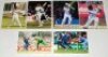 England Test and County players signed photographs 1990s-2010s. Twenty original colour press photographs of England Test players in match action, practising etc. Each photograph signed by the featured player. Signatures are Root, Broad, Caddick, Salisbury - 2