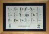 'County Captains 2007'. Keith Fearon. Large print of the eighteen County captains of the 2007 season, signed by each player. Signatures are Katich, Benkenstein, Irani, Hemp, Lewis, Warne, Key, Chilton, Snape, Smith, Sales, Fleming, Langer, Butcher, Adams,