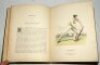 'Felix on the Bat: Being a scientific inquiry into the use of the cricket bat: together with the history and use of the catapulta. Also, The Laws of Cricket as revised by the Marylebone Club'. Nicholas Wanostrocht. First edition. London 1845. Padwick 397. - 7