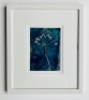 Early Cow Parsley by Katherine Gallacher