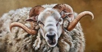 Golden Fleece by Susan Hutchison 