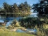 High Summer by Ewan McClure