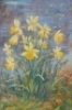 Daffodils by the Pond by Howard Butterworth - 2