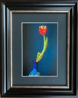 Tulipa by Susan Orr
