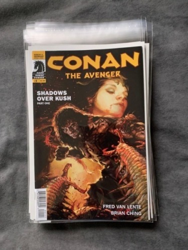 Dark Horse Comics, Conan The Avenger (15 issues in this lot)