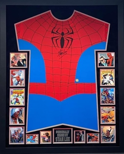 Stan Lee Signed And Framed Spider Man Costume