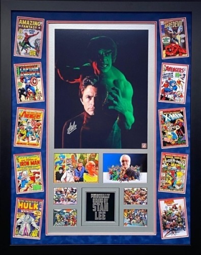 Stan Lee Signed And Framed Display Certificate of Authenticity