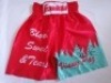 Vinny Paz Signed Boxing Shorts Co