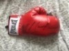 Mike Tyson And Lennox Lewis Dual Signed Glove Certificate of Authenticity