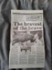 Sefton the war horse mounted with plack also includes a book the story of the cavalry horse and commemorative spoon with various news paper articles - 9