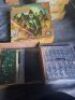 Arcane Legions Han Infantry - 2