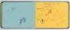 County, Australia & Pakistan autographs 1953 & 1954. Autograph album signed by counties and Test players of the period. Counties include Worcestershire 1953 (12 signatures), Kent (11), Essex (11 and 9), Northamptonshire (11), Derbyshire (9 and 11), Somers - 2