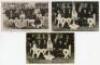 Cricket postcards. Three different mono real photograph postcards of the South African touring party to England in 1907, seated and standing in rows. Philco Publishing Co of London, Scott, Manchester and one other. Sold with two colour printed postcards o