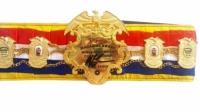 Mike Tyson Signed And Framed Ring Magazine Belt Certificate of Authenticity