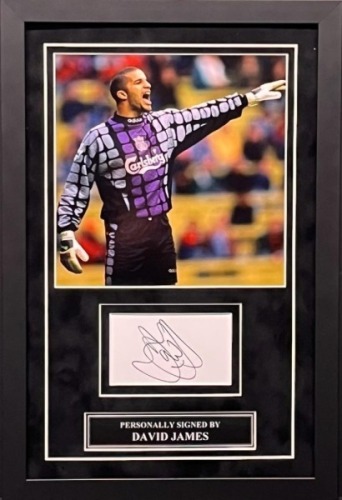 David James Signed And Framed Liverpool Fc Display Ca