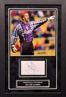 David James Signed And Framed Liverpool Fc Display Ca