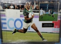 Makazole Mapimpi Signed And Framed South Africa World Cup 2019 Display Coa