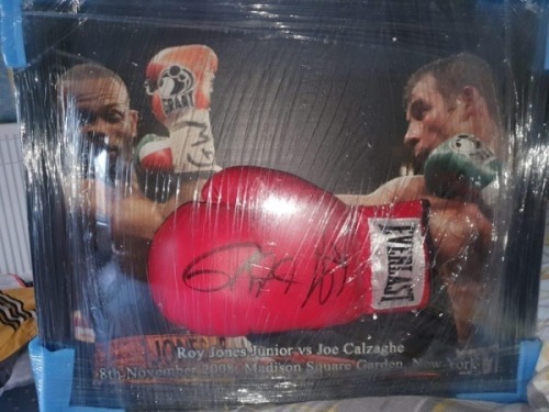 Joe Calzaghe And Roy Jones Jnr Dual Signed And Framed Glove Coa