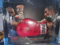 Joe Calzaghe And Roy Jones Jnr Dual Signed And Framed Glove Coa