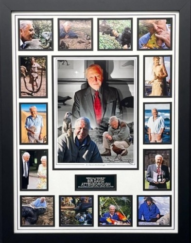 David Attenborough Signed And Framed Display Coa