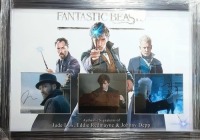 Fantastics Beasts Triple Signed And Framed Display By Jude Law, Eddie Redmayne, Johnny Depp