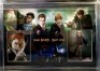 Daniel Radcliffe And Rupert Grint Signed And Framed Harry Potter Display Coa