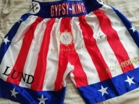 Tyson Fury Signed Usa Shorts Coa
